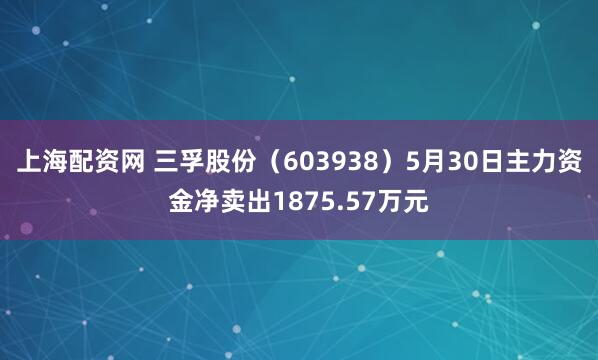 上海配资网 三孚股份（603938）5月30日主力资金净卖出1875.57万元