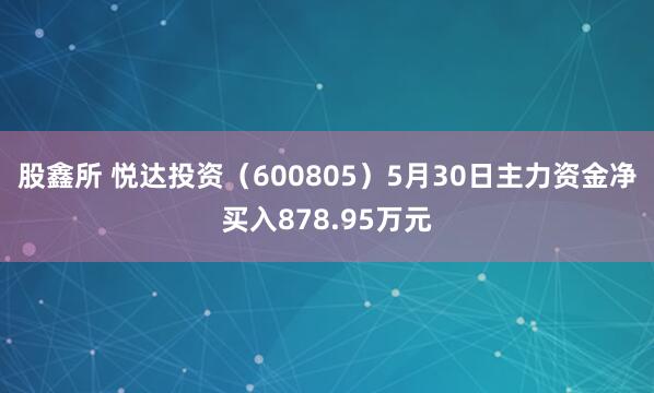 股鑫所 悦达投资（600805）5月30日主力资金净买入878.95万元