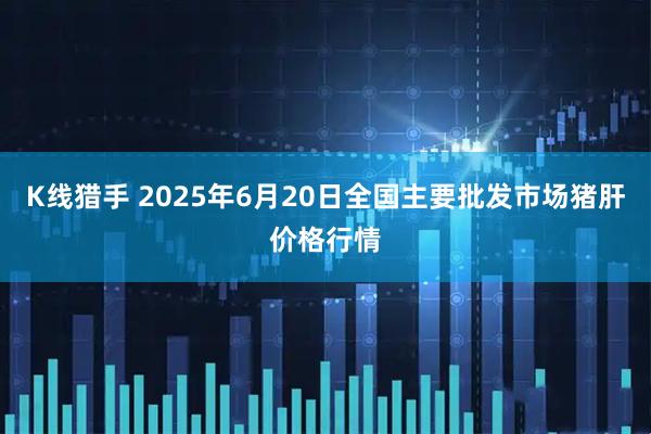 K线猎手 2025年6月20日全国主要批发市场猪肝价格行情