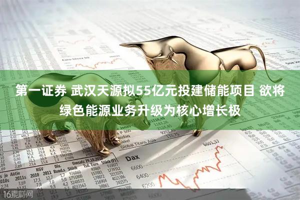 第一证券 武汉天源拟55亿元投建储能项目 欲将绿色能源业务升级为核心增长极