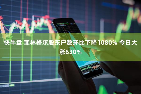快牛盘 菲林格尔股东户数环比下降1080% 今日大涨630%